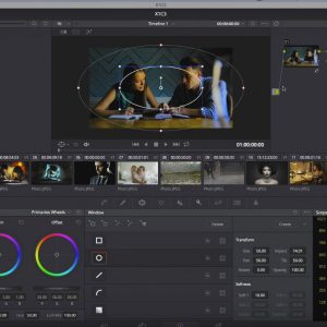 how to use davinci resolve with 4 monitors