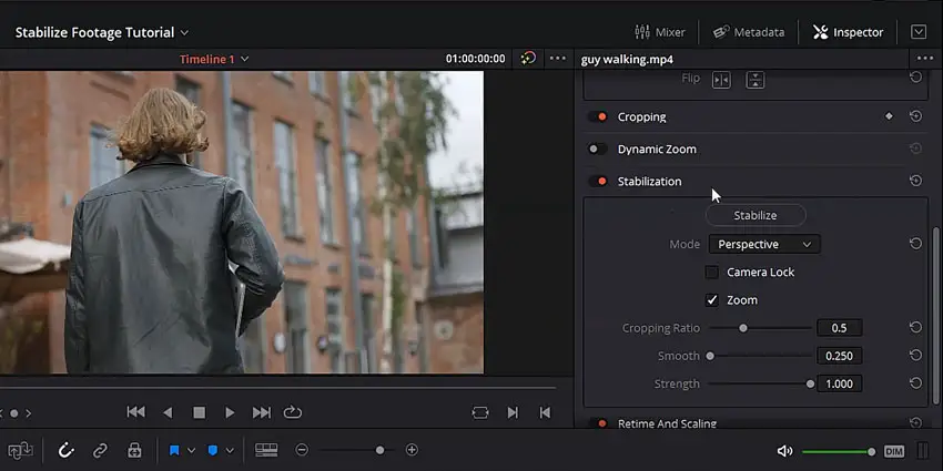 does davinci resolve support speed ramps in xml