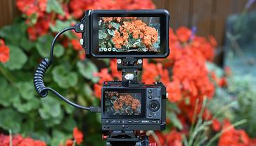 atomos ninja v raw